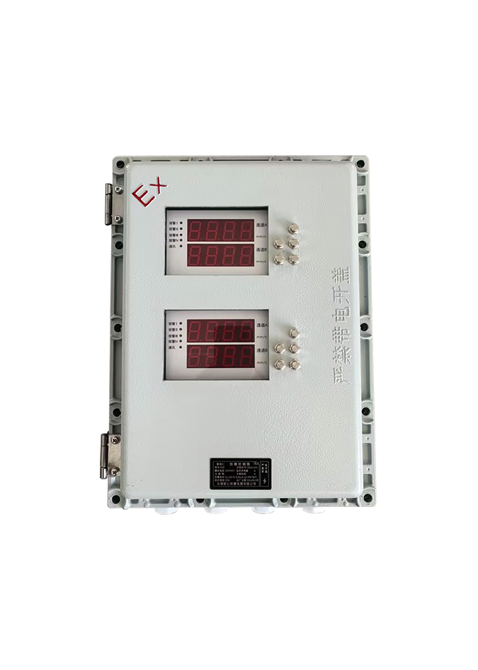 智能雙通道振動監(jiān)測儀【防爆型】